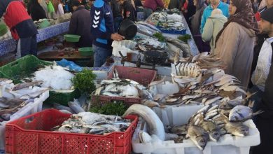 Photo of ملف ارتفاع الأسعار يخطف اهتمام الطنجاويين خلال الأسبوع الأول من شهر رمضان