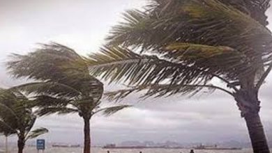 Photo of ابتداء من اليوم.. رياح بسرعة 90 كيلومترا بطنجة ومدن الشمال