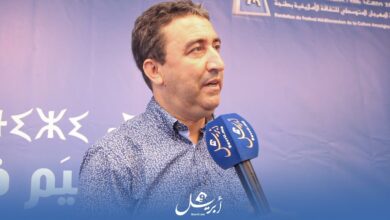 Photo of هل ينجح عمدة طنجة في خطف “البري” من ديوان رئيس الجهة؟