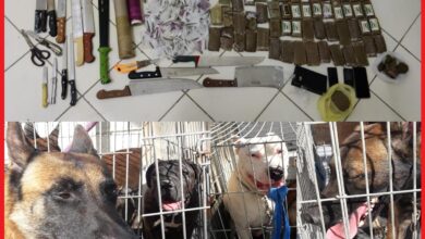 Photo of طنجة.. توقيف ثلاثة أشخاص يشتبه في ترويحهم للمؤثرات العقلية