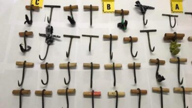 Photo of طنجة.. إجهاض محاولة للهجرة السرية وتوقيف 25 شخص من دول إفريقيا