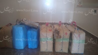 Photo of درك ملوسة يحجز نصف طن من المخدرات ويوقف صاحبها