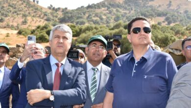 Photo of مورو رفقة وزير الفلاحة يعاينان الأضرار التي خلفها حريق العرائش