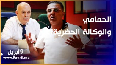Photo of الحمامي لمدير الوكالة الحضرية: غادي تخلينا غارقين فالمشاكل وتمشي فحالك