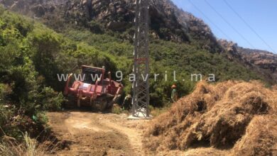 Photo of سلطات الفحص أنجرة تفتح مسالك طرقية وعرة لإخماد بؤر النيران