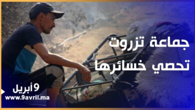 Photo of جماعة تزروت تحصي خسائرها بسبب الحرائق وتلاحم بين الساكنة ورئيسها
