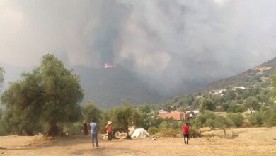 Photo of العرائش.. تحويط حريق غابة بني يسف آل سريف ب “صفة تامة”