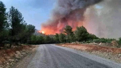 Photo of إقليم تازة.. تحويط الحريق الغابوي المسجل على مستوى غابة “باب ازهار”