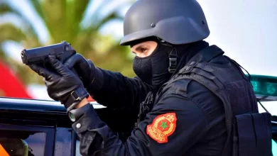 Photo of طنجة: الأمن يشهر سلاحه في وجه كلبين عرضا حياة المواطينن للخطر
