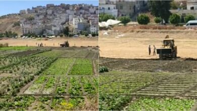 Photo of طنجة: هذه حقيقة النزاع حول بقعة أرضية فلاحية بامغوغة