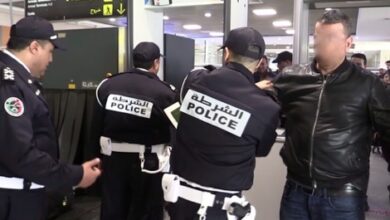Photo of الناظور.. توقيف 6 أشخاص ي شتبه في ارتباطهم بشبكة إجرامية تنشط في التهريب الدولي للمخدرات