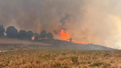 Photo of السلطات بإفران تسابق الزمن لإطفاء الحريق المهول