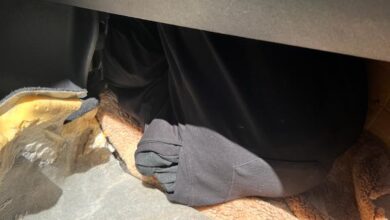 Photo of جمارك الميناء المتوسطي توقف “قاصر” داخل سيارة نفعية مرشح للهجرة السرية