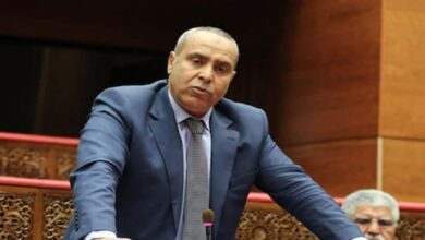 Photo of برلماني يتبجح بقدرته على ايصال قطته لقبة البرلمان بعدما اوصل ابنه وابنته