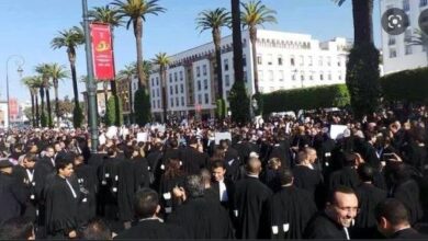 Photo of احتجاجا على قرارات الوزير وهبي وشلل يضرب محاكم المملكة من جديد