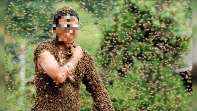 Photo of هاجمه النحل حتى الموت.. نهاية شاب بطريقة مأساوية