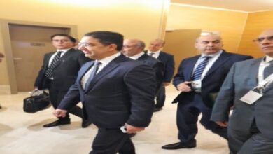 Photo of بوريطة يصل الجزائر للمشاركة في اجتماع وزراء الخارجية