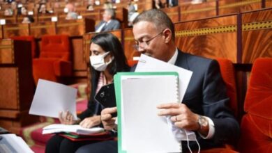 Photo of لقجع..هذا هو عدد الشركات النائمة المتملصة من أداء الضرائب