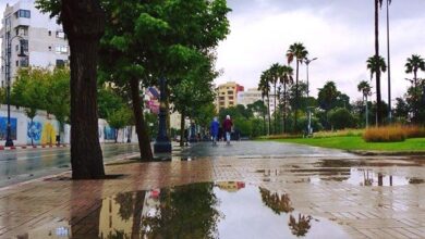 Photo of  طقس طنجة : أمطار خفيفة ورياح معتدلة مع بحر قليل الهيجان