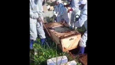 Photo of استخراج جثة كرواتي من مقبرة مغربية وترحيلها لإسبانيا وإسترجاع جثة مغربي
