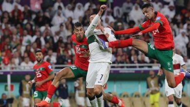 Photo of 13 منتخبا عالميا يريد مواجهة الأسود