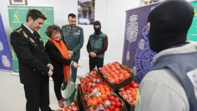 Photo of السلطات الإسبانية تحجز 22 طنا من المخدرات مدسوسة في الطماطم متجهة من المغرب إلى فرنسا