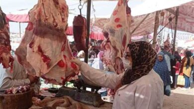 Photo of بعد ارتفاع أثمانها..الحكومة تتخذ تدابير جديدة لخفض أسعار اللحوم الحمراء
