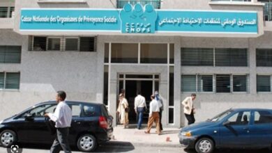 Photo of كنوبس.. إجراءات جديدة تخص بها أبناء المؤمنين