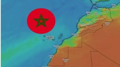 Photo of ارتفاع مفاجئ في درجات الحرارة غدا الأربعاء وهذه المدينة سَتُسجل 35 درجة