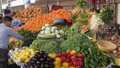 Photo of الحكومة توجه اللوم للمضاربين بسبب ارتفاع الأسعار