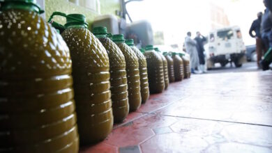 Photo of أكثر من 6 سنوات من السجن النافذ لشبكة زيت الزيتون المغشوشة