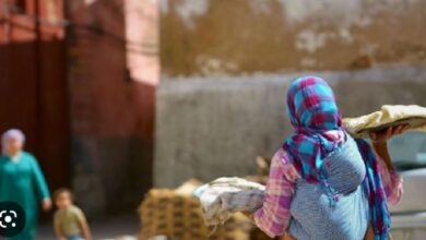 Photo of الحكومة تصادق على تدابير مؤقتة لاستفادة الأرامل من الدعم المباشرa