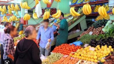 Photo of منظمة “الفاو” تعلن تراجع أسعار المواد الغذائية