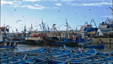 Photo of مندوبية الصيد بطنجة تمنع أنشطة الصيد بعدة مناطق لسنة كاملة