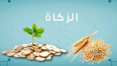 Photo of المجلس العلمي الأعلى يحدد مقدار زكاة الفطر لهذه السنة