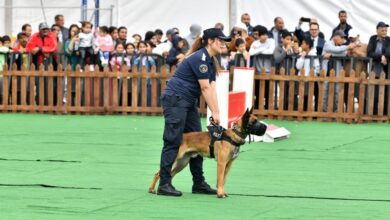 Photo of الأبواب المفتوحة “للمديرية العامة للأمن الوطني” .. تغطية اعلامية واسعة وطنية ودولية