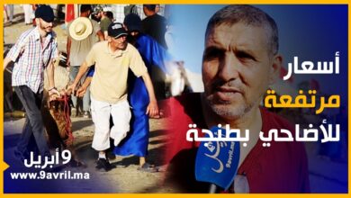 Photo of الغلاء سيد الموقف.. هذه أثمنة الأكباش بطنجة قبل ساعات من يوم النحر