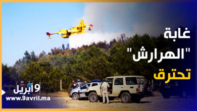 Photo of طنجة: مجهودات متواصلة للسلطات للسيطرة على حريق الهرارش