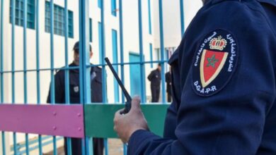 Photo of لهذا السبب.. الافراج عن جميع سجينات التطرف والارهاب بالمملكة