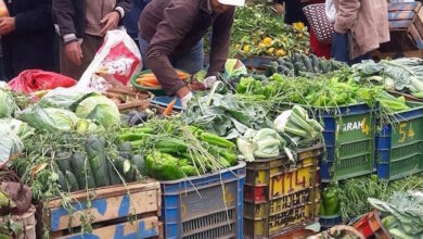 Photo of المندوبية السامية للتخطيط.. تراجع معدل نمو التضخم لأول مرة بعد ستة فصول