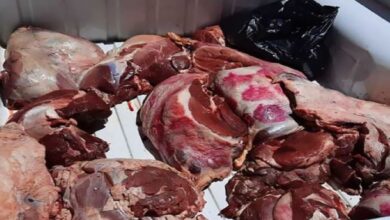 Photo of أمن طنجة يداهم مجزرة سرية ويحجز 700 كلغ من اللحوم الفاسدة
