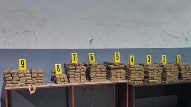 Photo of إحباط تهريب 350 كيلوغرام من الشيرا على متن شاحنة للنقل الدولي بطنجة المتوسط