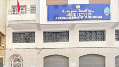 Photo of روجت بشأنه وقائع كاذبة.. نائب رئيس مقاطعة امغوغة يلجأ للقضاء