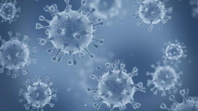 Photo of هكذا تفاعلت وزارة الصحة والحماية الاجتماعية مع خبر ظهور متحور جديد لفيروس كورونا