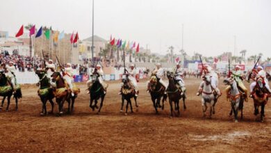 Photo of مؤلم.. مصرع فارس في عرض للتبوريدة بموسم مولاي عبد الله