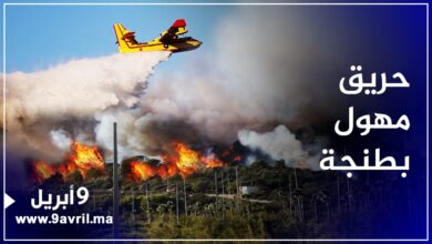 Photo of حريق مهول يلتهم مساحة شاسعة من الغابة ضواحي طنجة