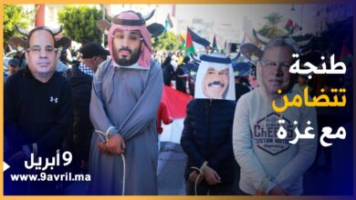 Photo of لوحات احتجاجية معبرة في مسيرة حاشدة تضامنا مع غزة