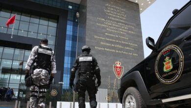 Photo of في سياق العمليات الأمنية.. توقيف أحد العناصر الحاملة للفكر المتشدد