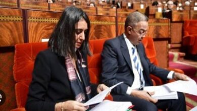 Photo of وزيرة الاقتصاد والمالية.. وضعية صناديق التقاعد مقلقة والإصلاح لم يعد يحتمل التأخير