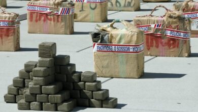 Photo of القبض على عصابة عائلية متورطة في تهريب المخدرات من المغرب إلى إسبانيا